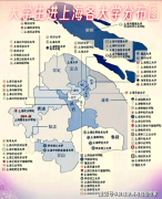 公共事业办理(医疗健康办理标的目的):培育医疗